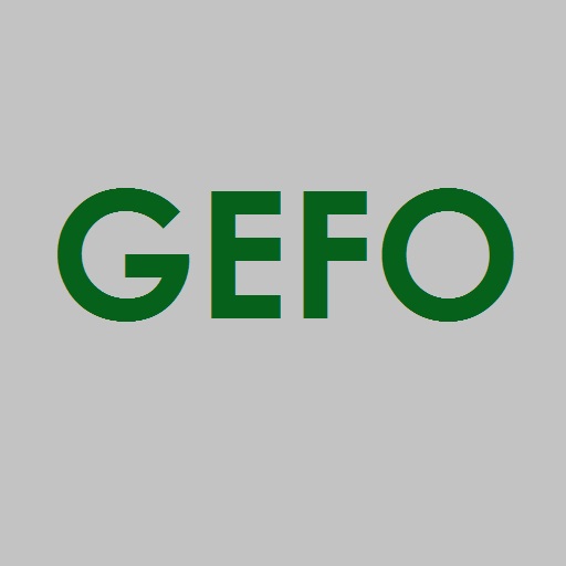 Collegamento all'applicativo GEFO